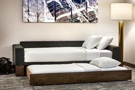 SpringHill Suites Newark Downtown