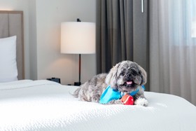 Residence Inn Miami Aventura Mall