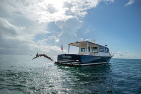 Tower at The Boca Raton