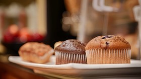 Best Western Plus Bradenton Hotel & Suites