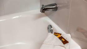 Best Western Plus Bradenton Hotel & Suites