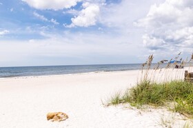 Seagrass Flats