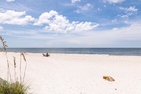 Seagrass Flats