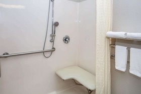 Microtel Inn & Suites by Wyndham Brooksville