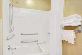 Microtel Inn & Suites by Wyndham Bushnell
