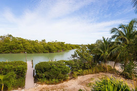 Green Heron House