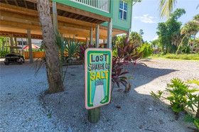 Lost Shaker Of Salt