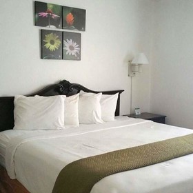 Rodeway Inn Clearwater - Central