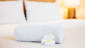 Rodeway Inn Clearwater - Central