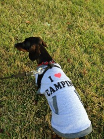 Greenberg Rent A Camper - Orlando Area - Campground