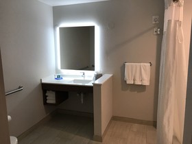 Holiday Inn Express & Suites Orlando South-Davenport