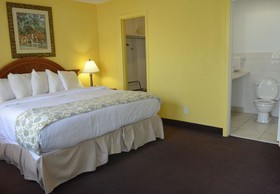 Dream Inn