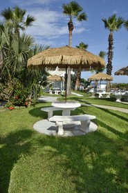 Dream Inn