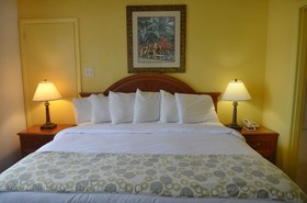 Dream Inn