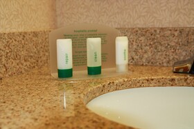 Holiday Inn Daytona Beach Lpga Blvd