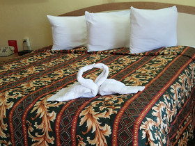 Super Inn By Oyo Daytona Beach Near Airport