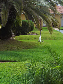 Super Inn By Oyo Daytona Beach Near Airport
