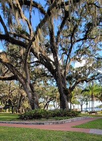 Tropical Resort and Marina