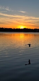 Tropical Resort and Marina