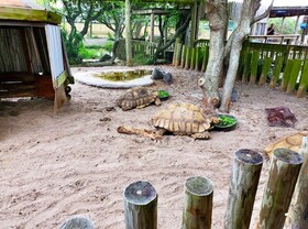 The Inn on Destin Harbor