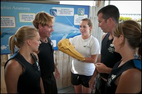 Hawks Cay Resort