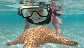 Bahia Mar Fort Lauderdale Beach - a DoubleTree by Hilton Hotel