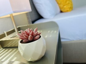 Coco Bay Condos