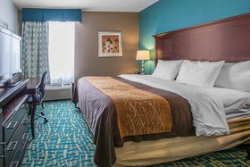Comfort Inn & Suites Fort Lauderdale West Turnpike