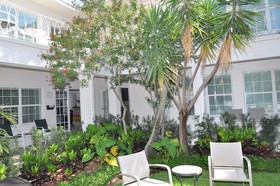 Grand Palm Plaza - Gay Men's Resort