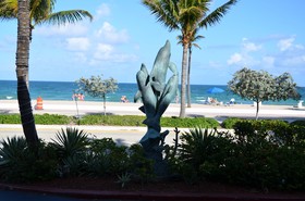 Sea Club Resort