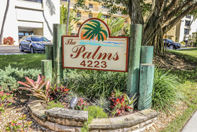 Palms