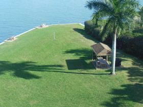 Palms