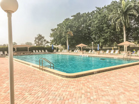 Palms