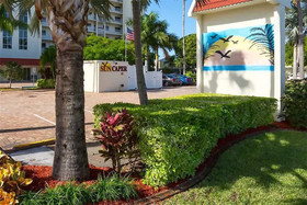 Sun Caper by RedAwning