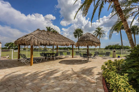 Sun Caper by RedAwning