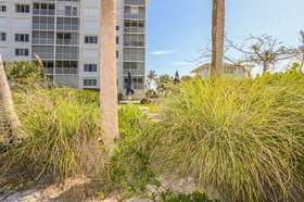 Sun Caper by RedAwning