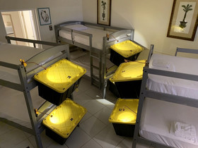 Bposhtels Hollywood Florida