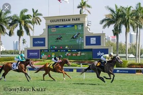 Knights Inn Hallandale