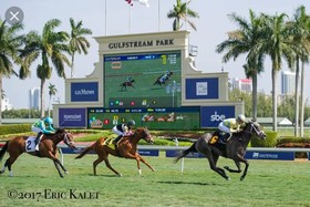 Knights Inn Hallandale