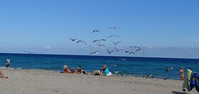 Costa Hollywood Beach Resort by Cielo Stays