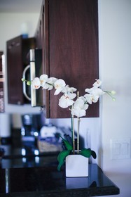 Makani Beach House 333