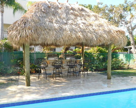 Tropical Breeze