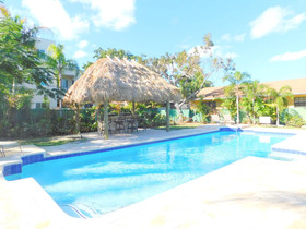Tropical Breeze