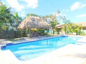 Tropical Breeze