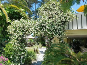 Cedar Cove Resort and Cottages