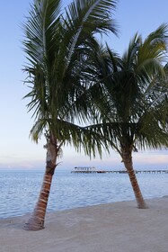 Cheeca Lodge & Spa