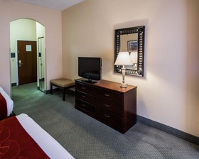 Comfort Suites Airport