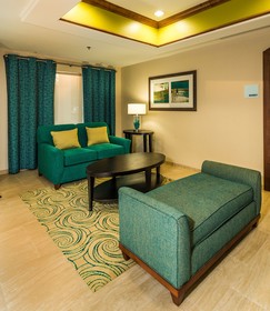 Holiday Inn Express & Suites Jacksonville - Blount Island