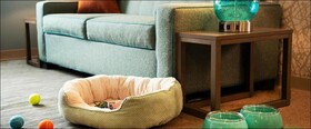 Home2 Suites by Hilton Jacksonville South St Johns Town Center