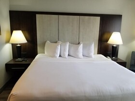 Wyndham Garden Jacksonville